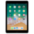 Apple iPad (9.7-inch)