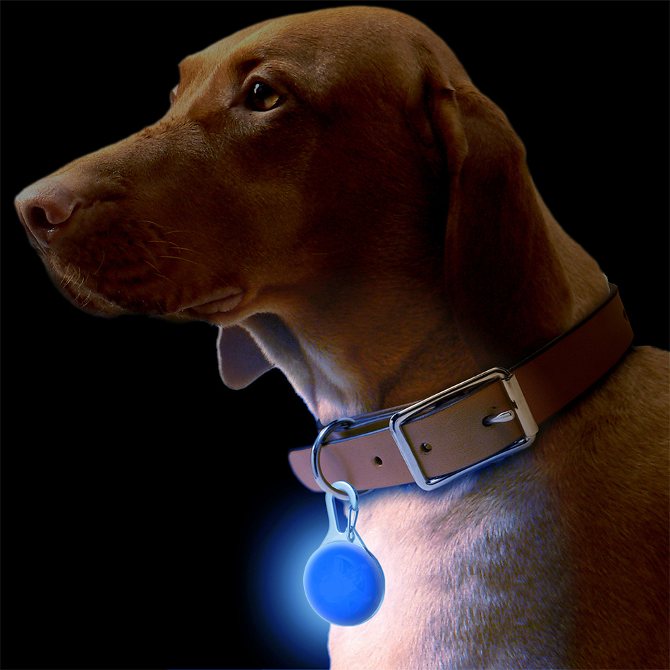 Tutuba Dog Collar LED Light,Safety Night Walking Lights Pendant Clip-on Circular Collar Anti-Lost Blinking Light Outdoor 