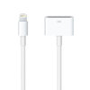 Lightning to 30-Pin (Female) Data Charging Adapter Cable for Apple iPhone / iPad (23cm)