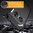 Flexi Slim Carbon Fibre Case for Nothing Phone (2a) / (2a) Plus - Brushed Black