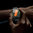 Anti-Scratch Hard Shell Case for Samsung Galaxy Watch7 40mm - Clear