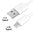 Short USB Type-C Data Charging Cable (30cm) - White