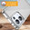 Hybrid Acrylic Tough Shockproof Case for Oppo Reno13 - Clear (Frame)