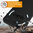 Flexi Stealth Liquid Silicone Case for Nothing Phone (3a) - Black (Matte)