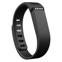 Fitbit Flex