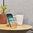 Samdi Universal Wooden Desktop Stand for Mobile Phone - Oak White