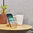 Samdi Universal Wooden Desktop Stand for Mobile Phone - Oak White