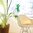 GeckoMometer Indoor & Outdoor Suction Thermometer - Green