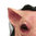 Novelty Latex Scary Pig Head Mask & Hair for Halloween Costume Party