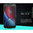 Nillkin 9H Tempered Glass Screen Protector for Motorola Moto G4 Plus