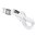 Haweel (2-in-1) Micro USB & Lightning Charging Cable (1m) for iPhone / iPad