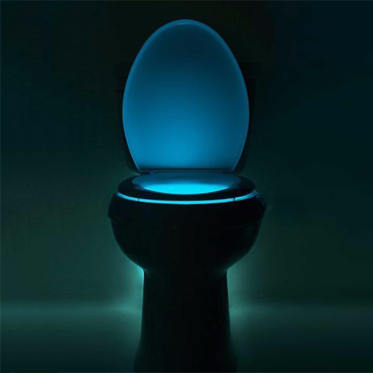 Led toilet hotsell
