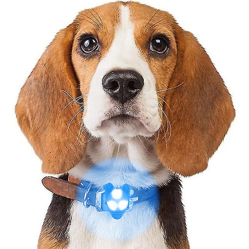 Pet Safety Dog Collar LED / Silicone Hanging Night Light / Walking Flash Tag - Blue